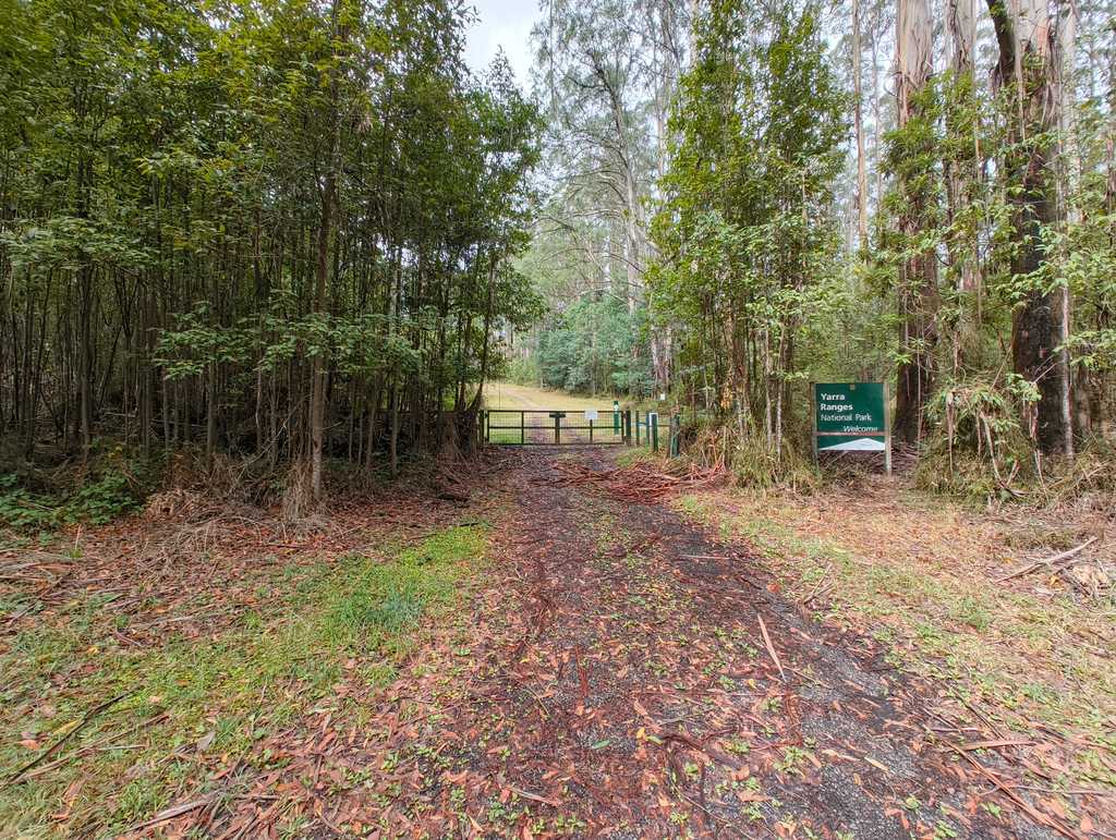 Dom Dom Saddle Picnic Ground is also the start of other tracks leading to Mt Donna Buang