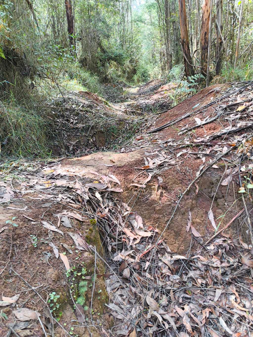 The mine field of holes in the path