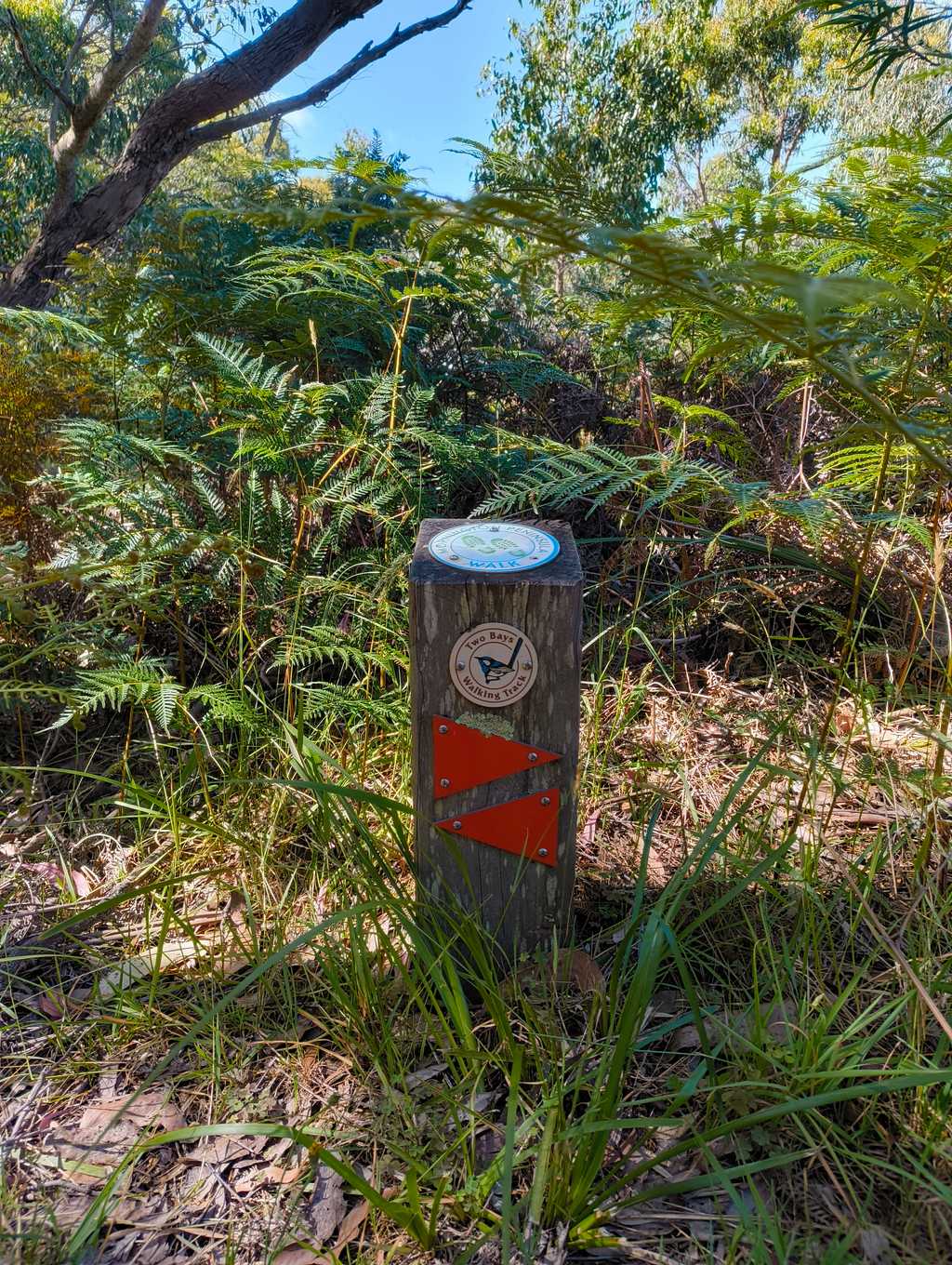 Two Bays Walking Track orange trail marker and blue wren logo