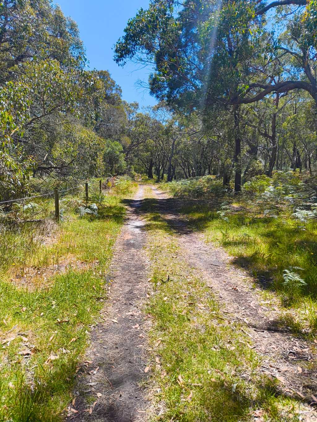 A management track runs alongside Rogers Rd